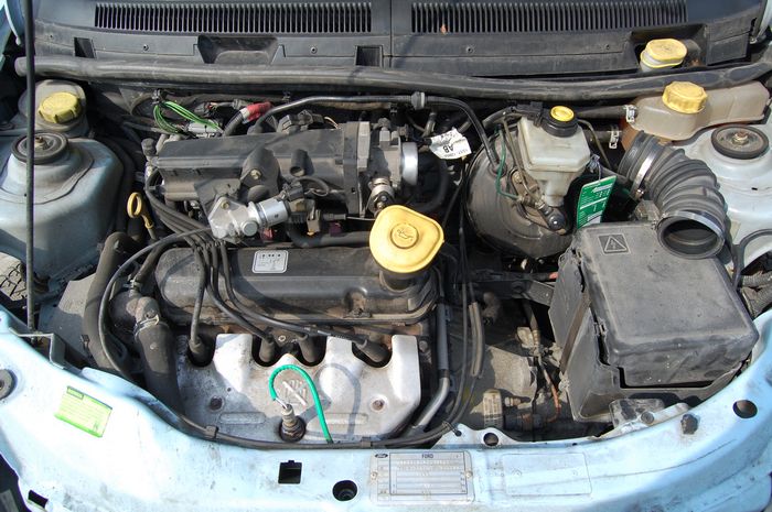 MOTOR