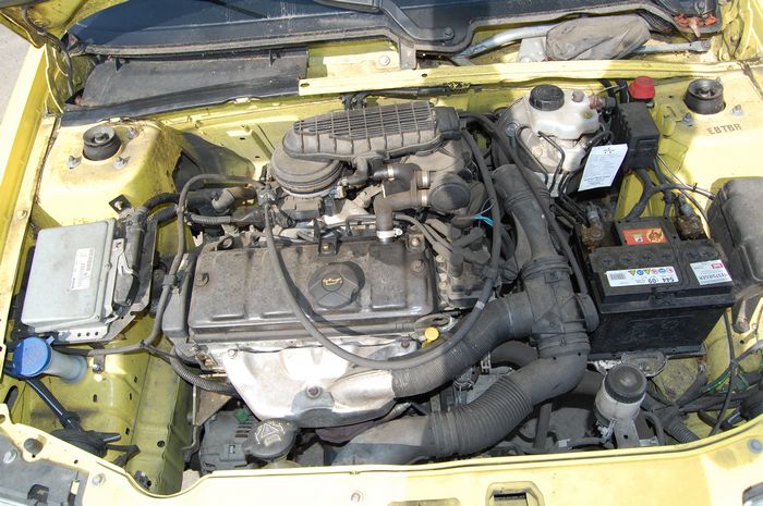 MOTOR
