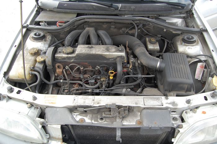 MOTOR