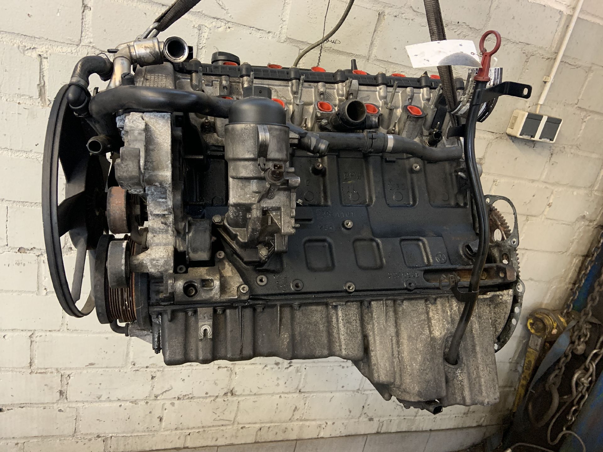 MOTOR