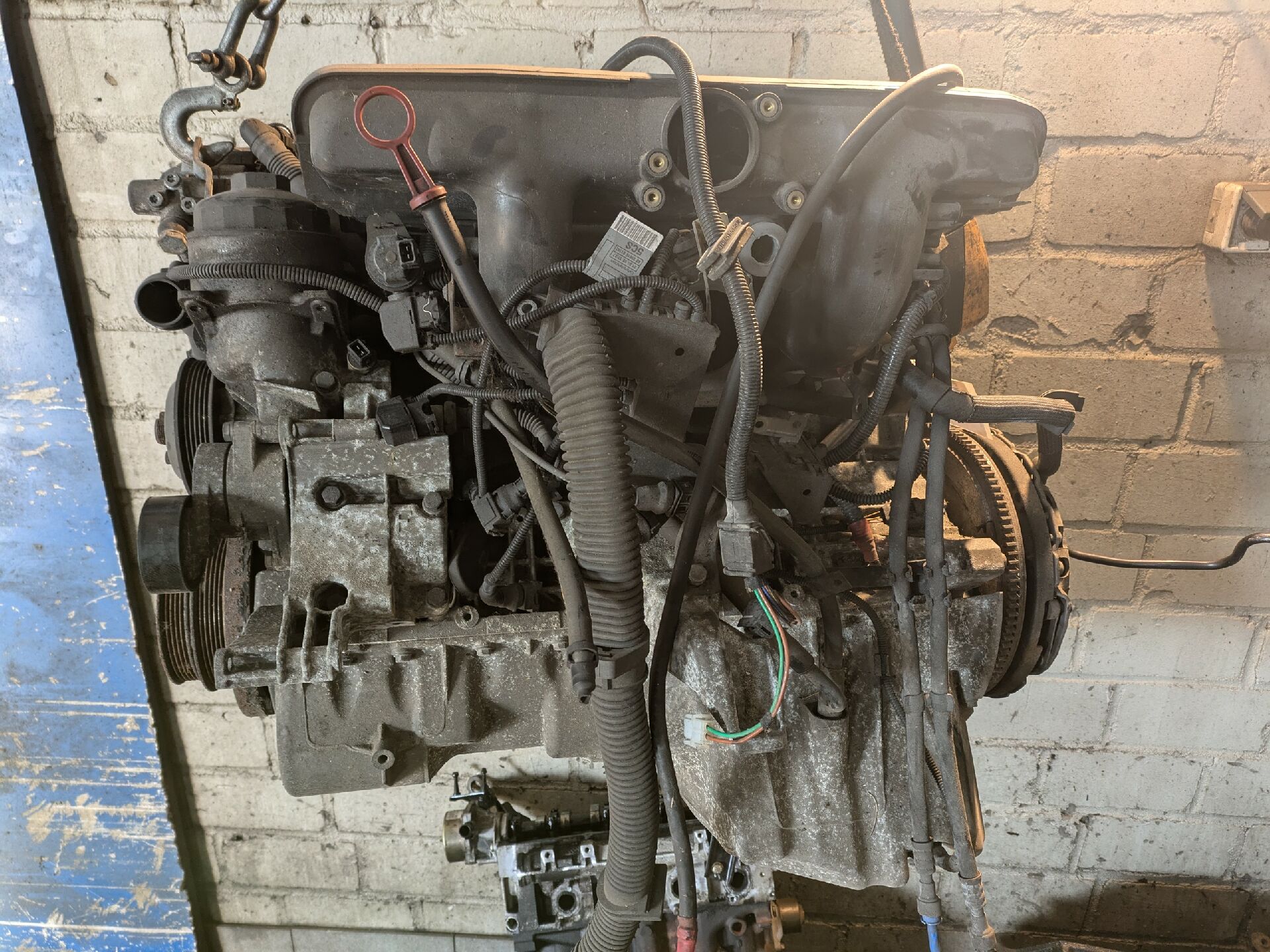 MOTOR