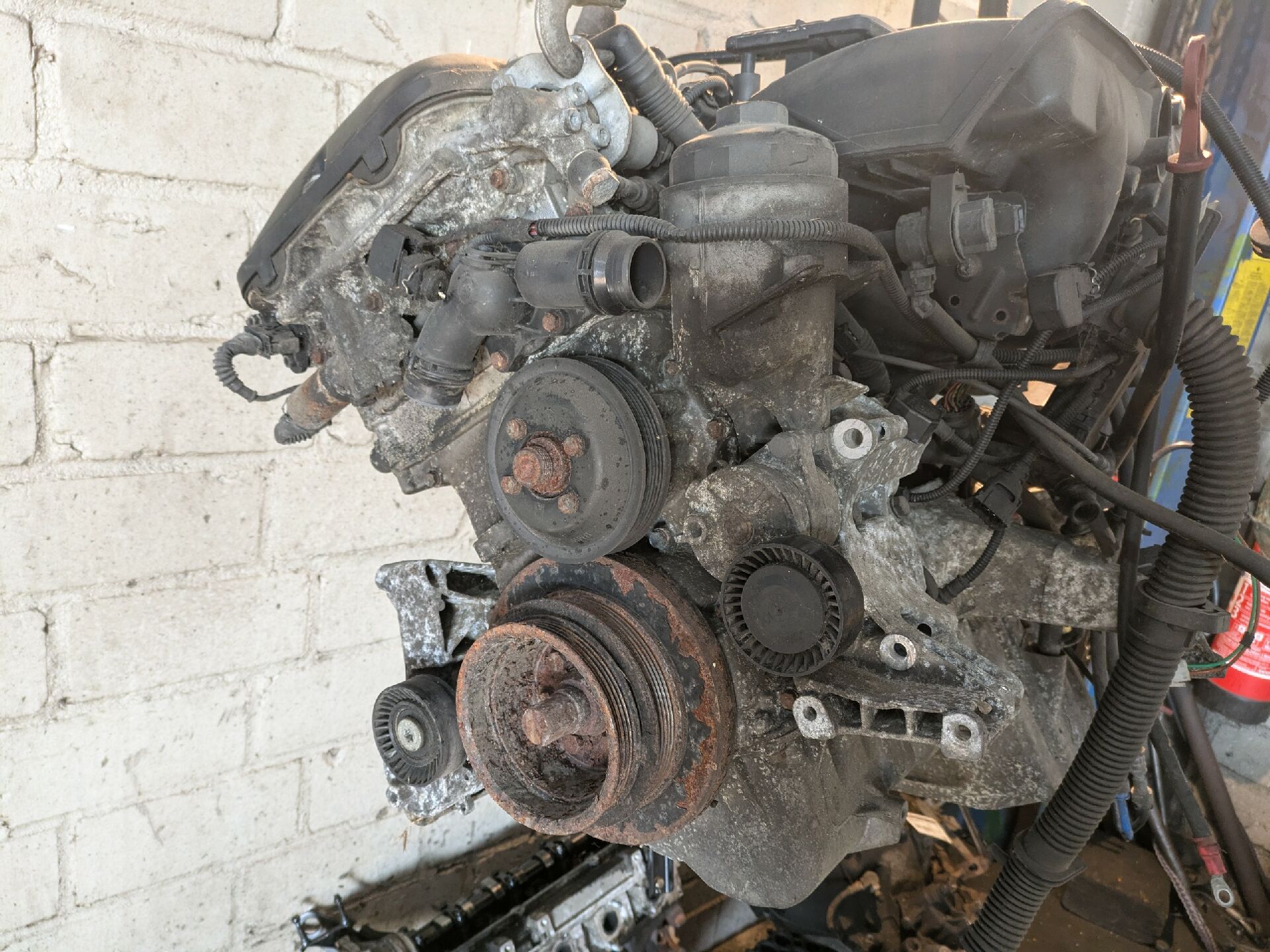 MOTOR