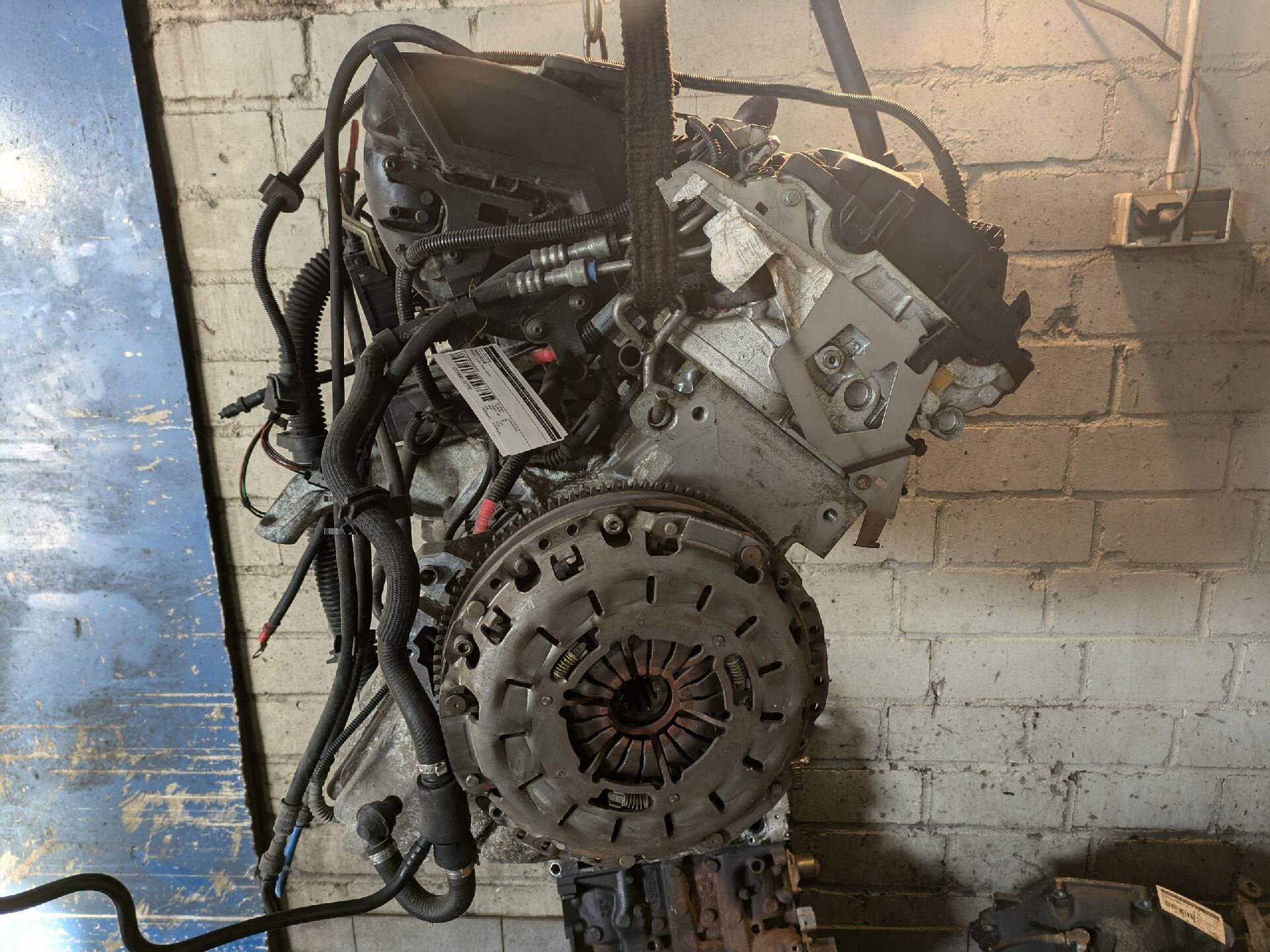 MOTOR
