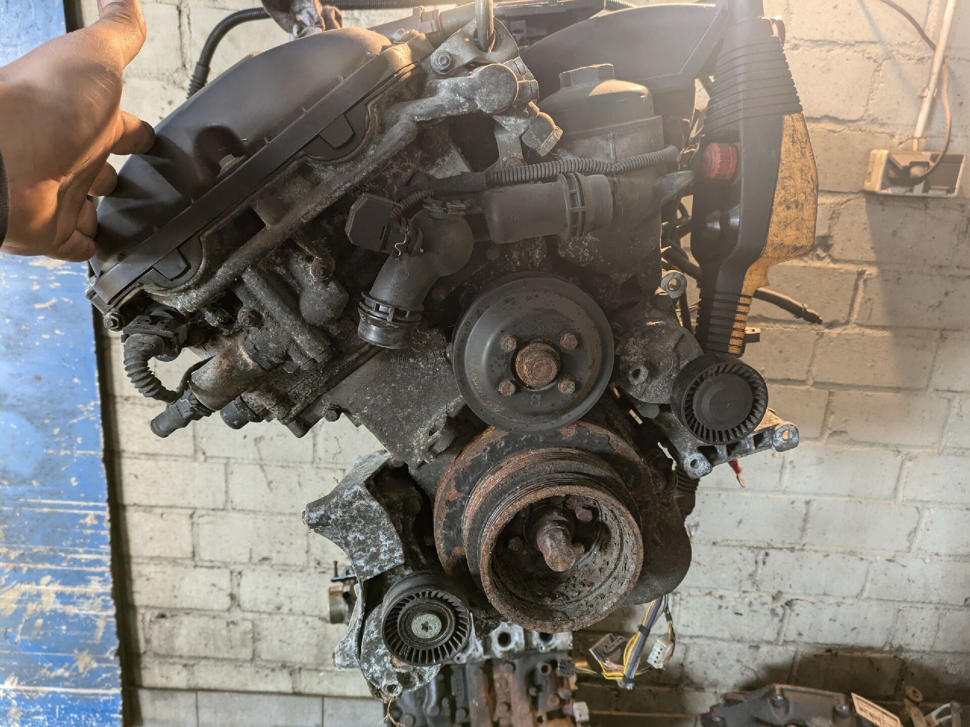 MOTOR