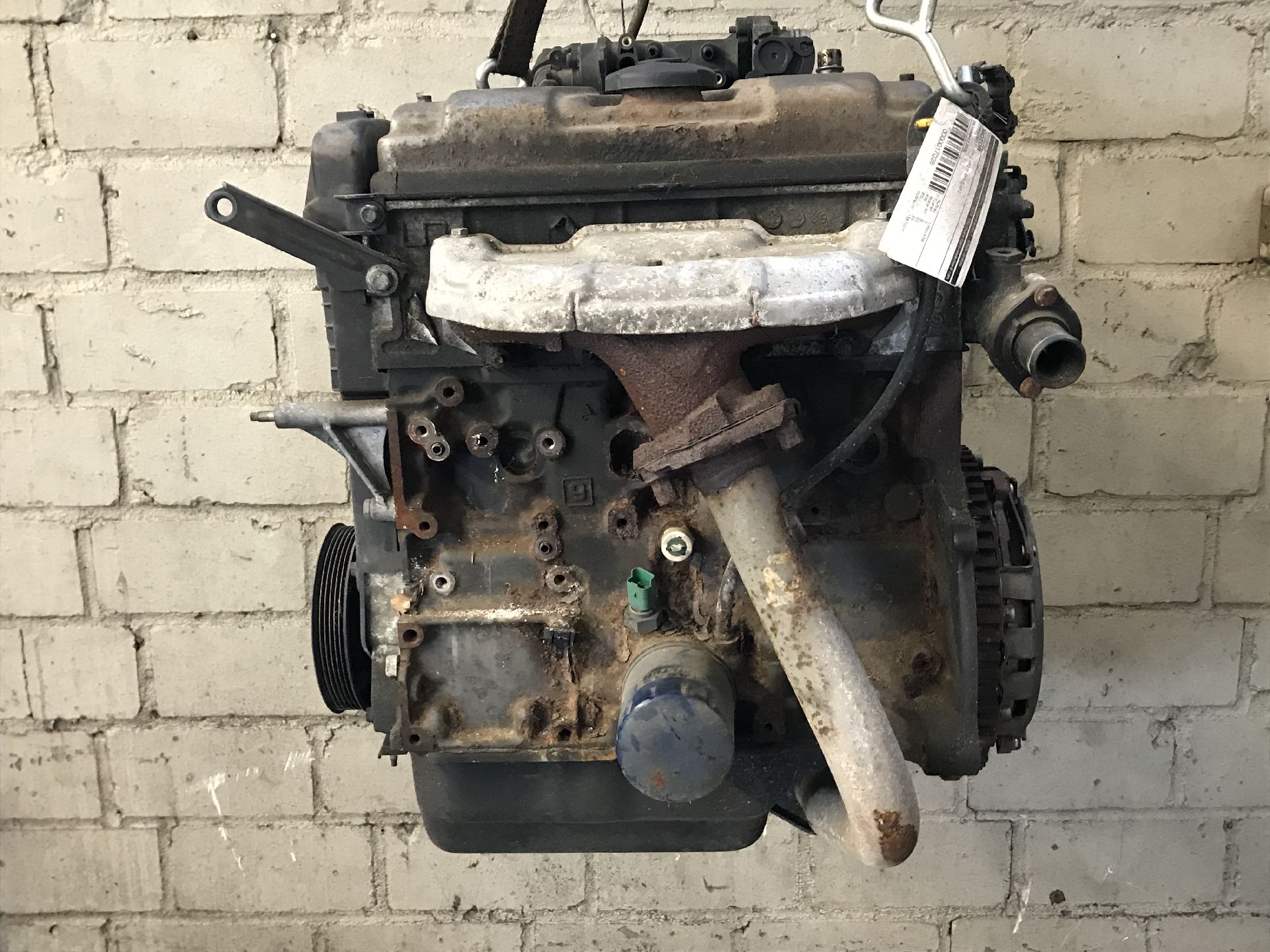 MOTOR