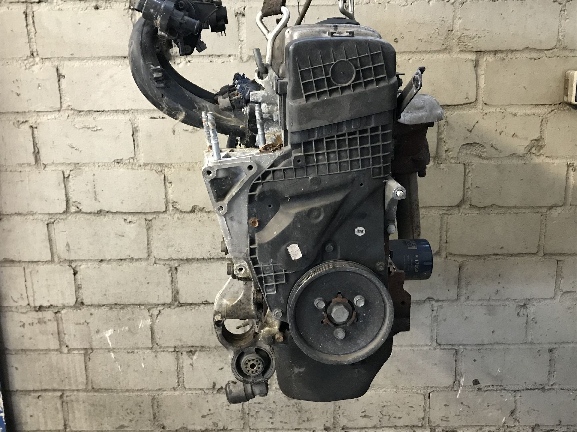 MOTOR