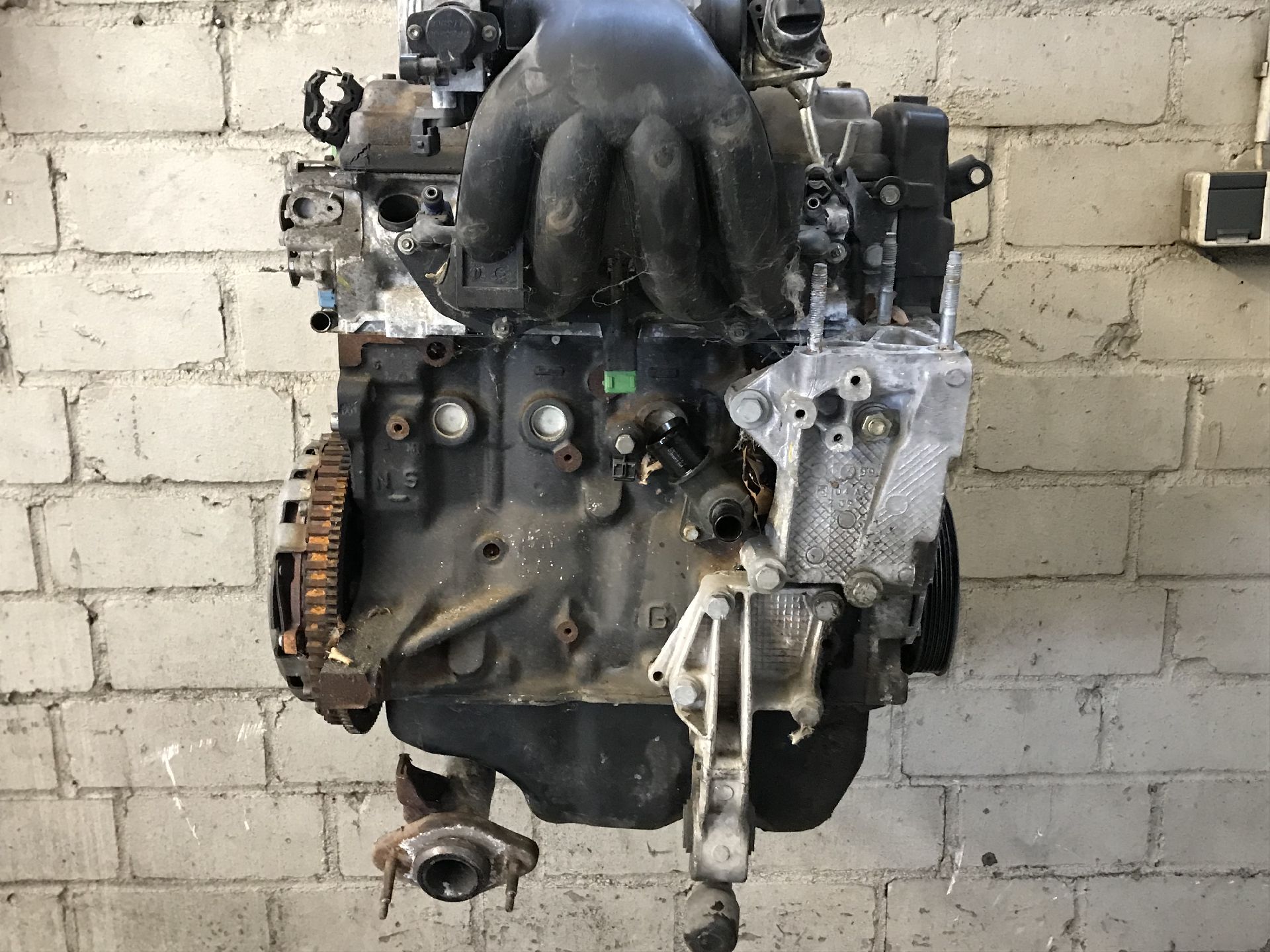 MOTOR