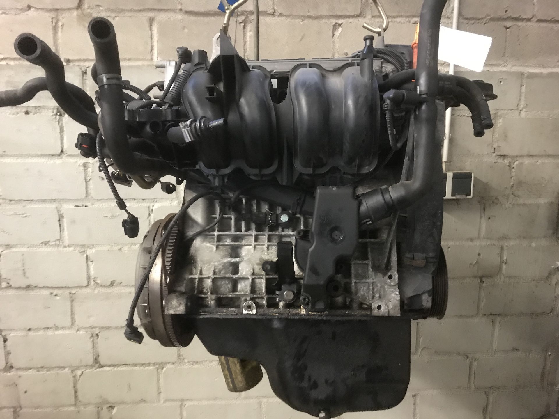MOTOR