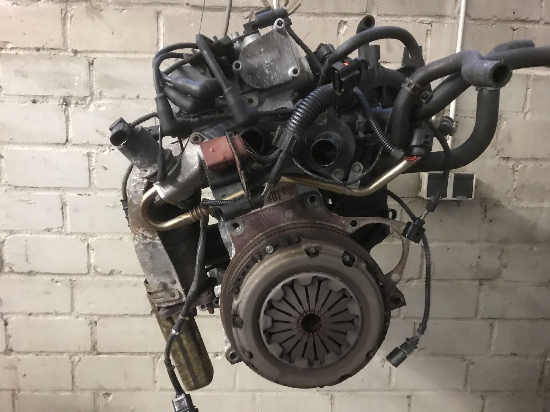 MOTOR