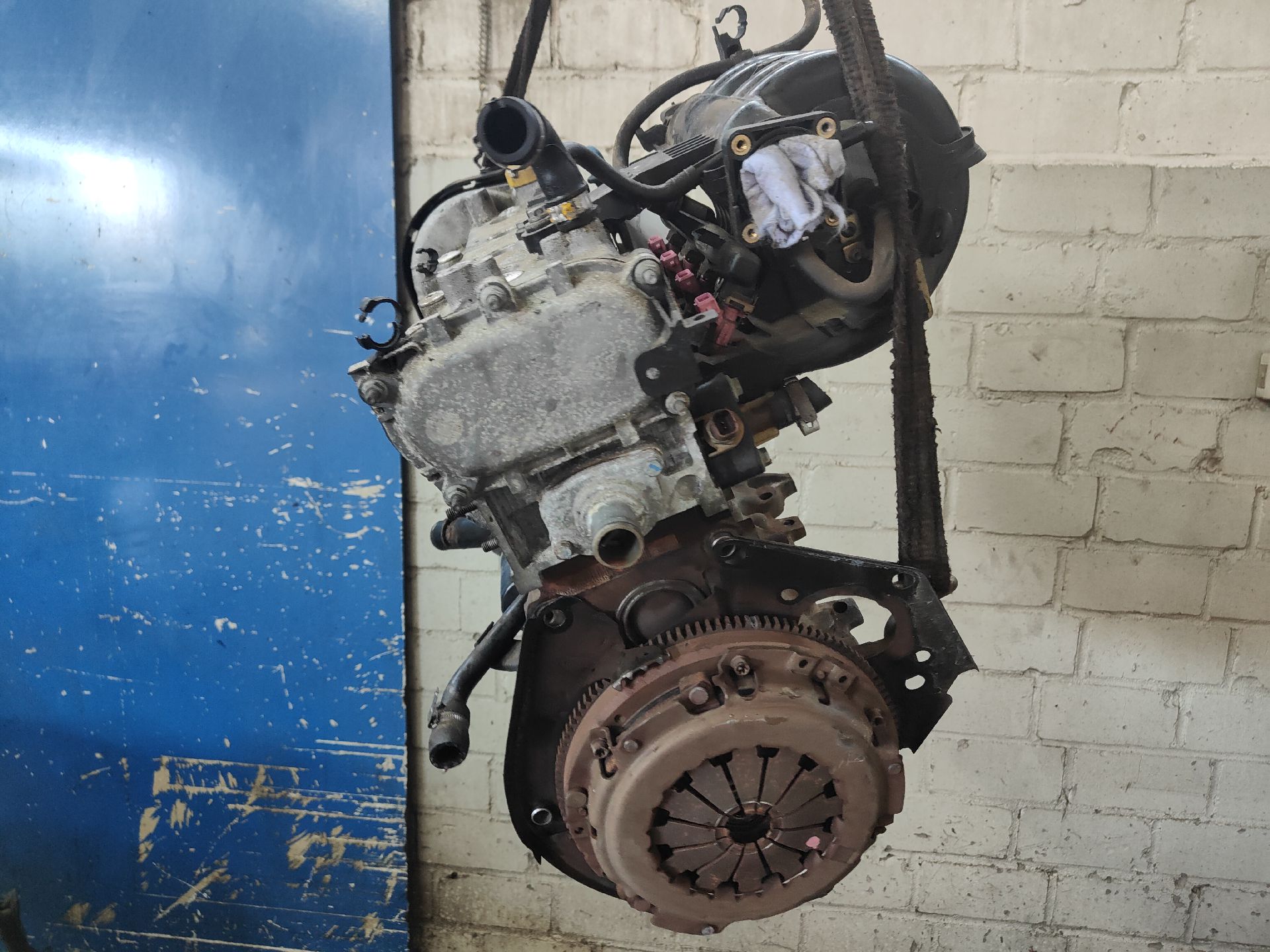MOTOR