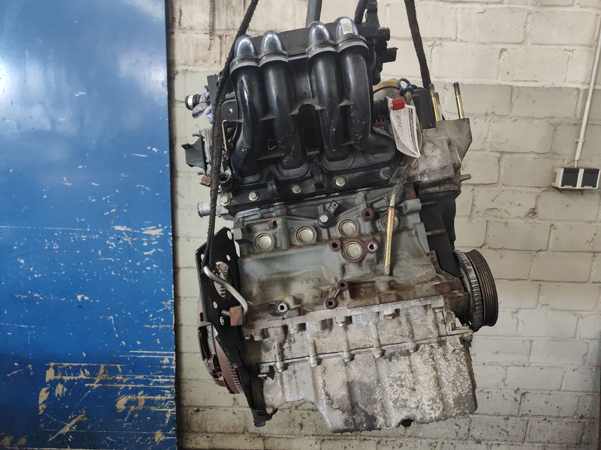 MOTOR