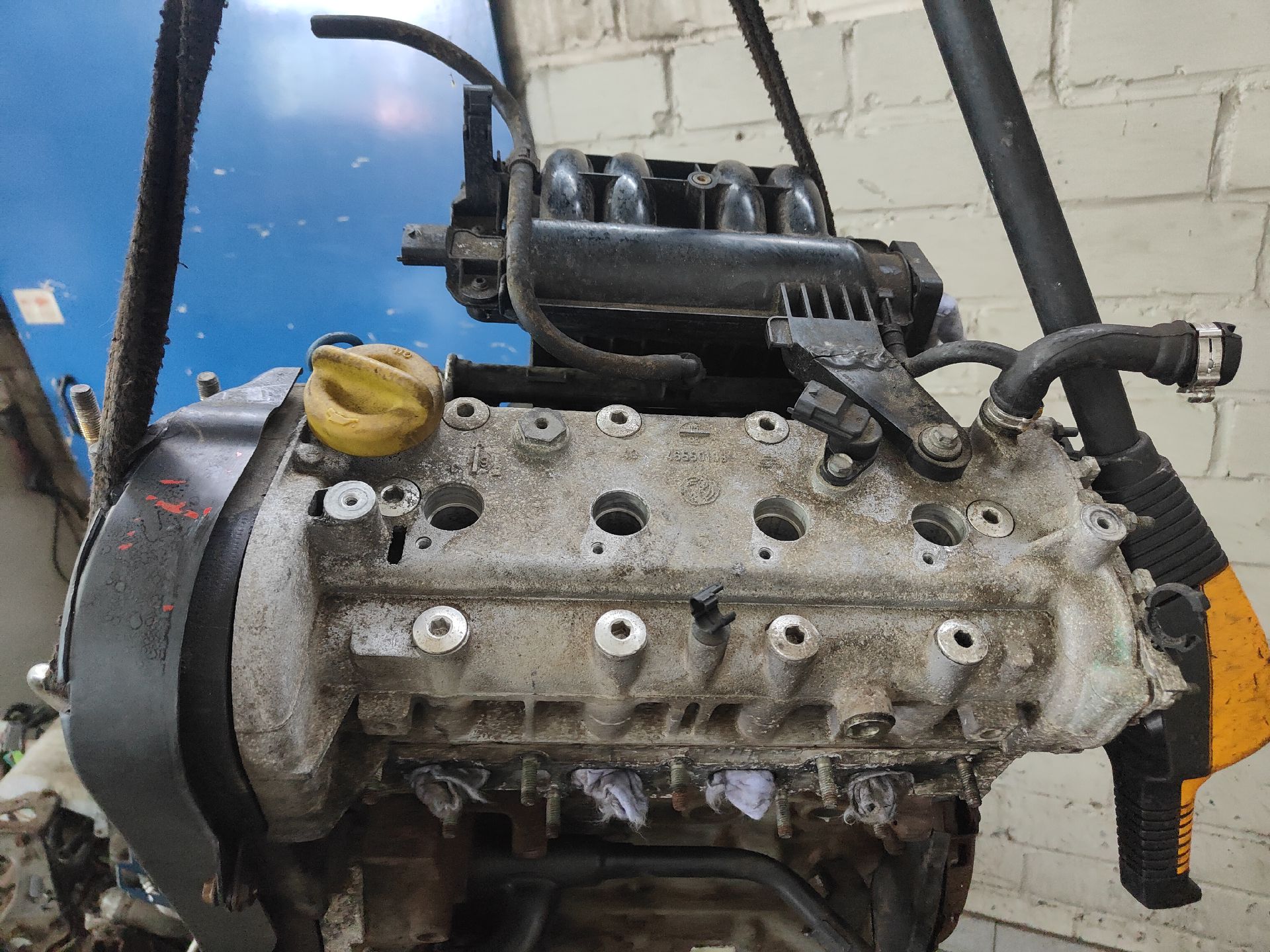 MOTOR