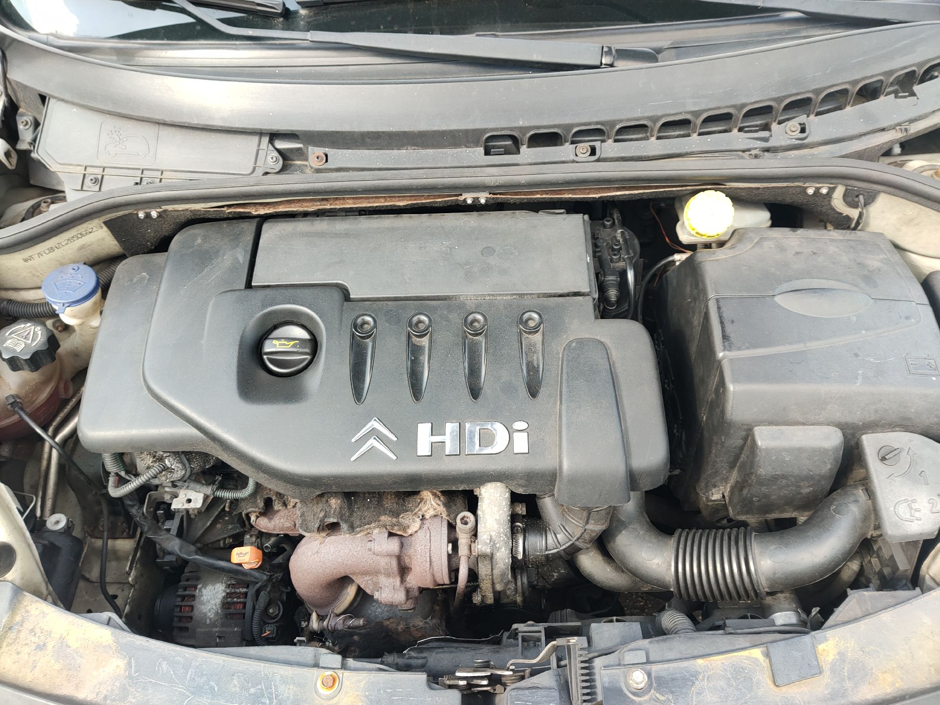 Motor