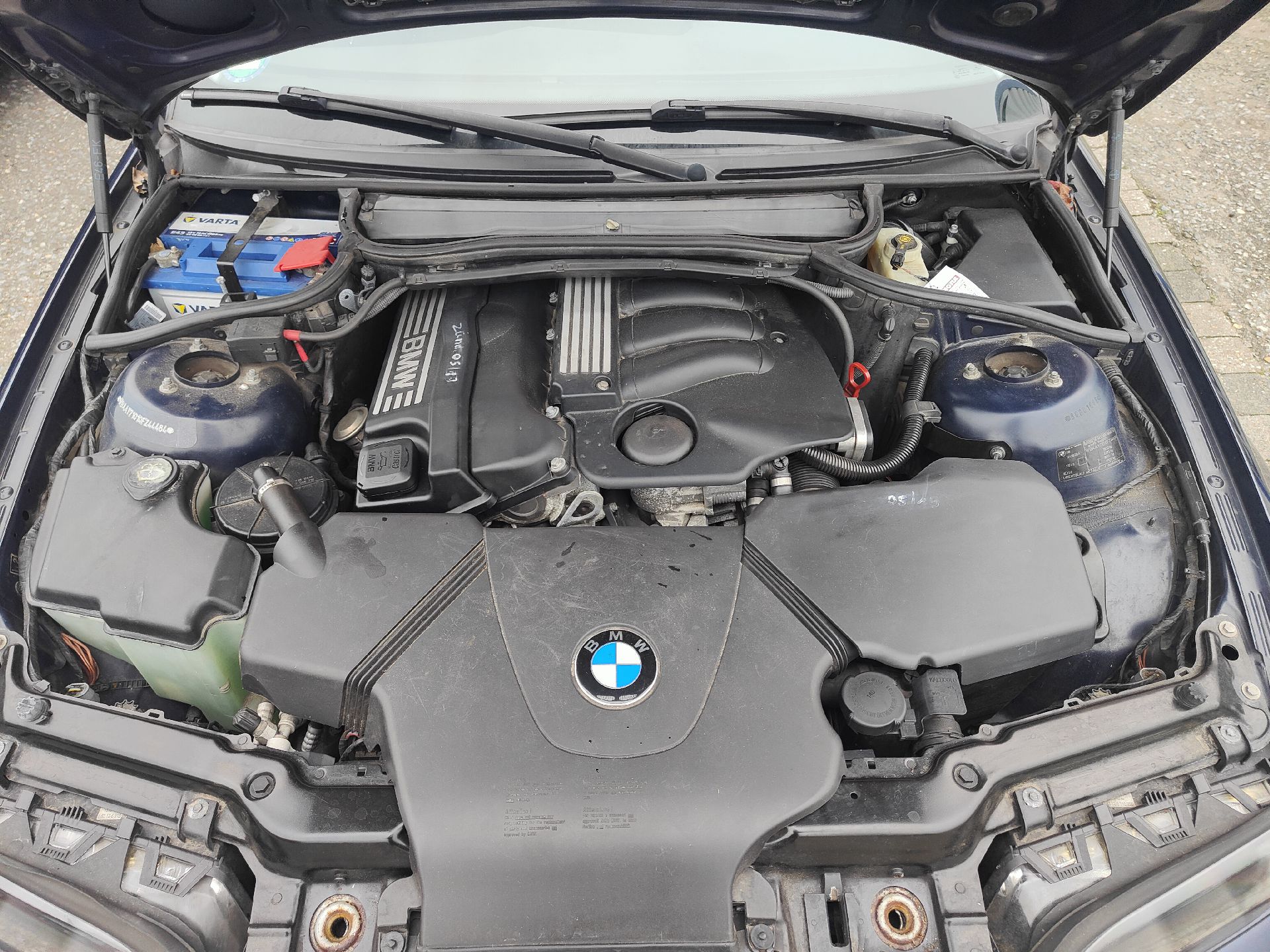 Motor