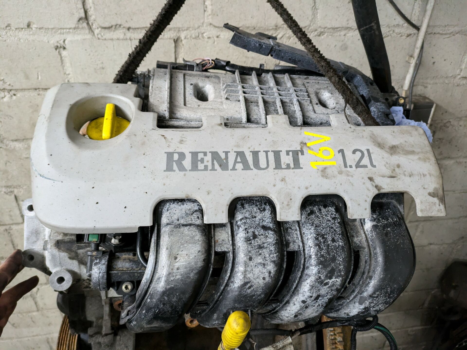 Motor