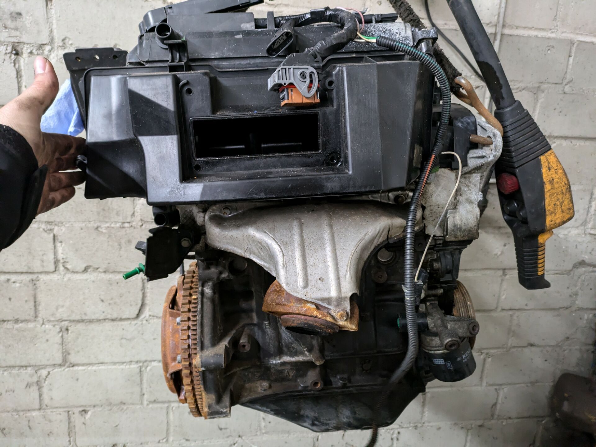 Motor