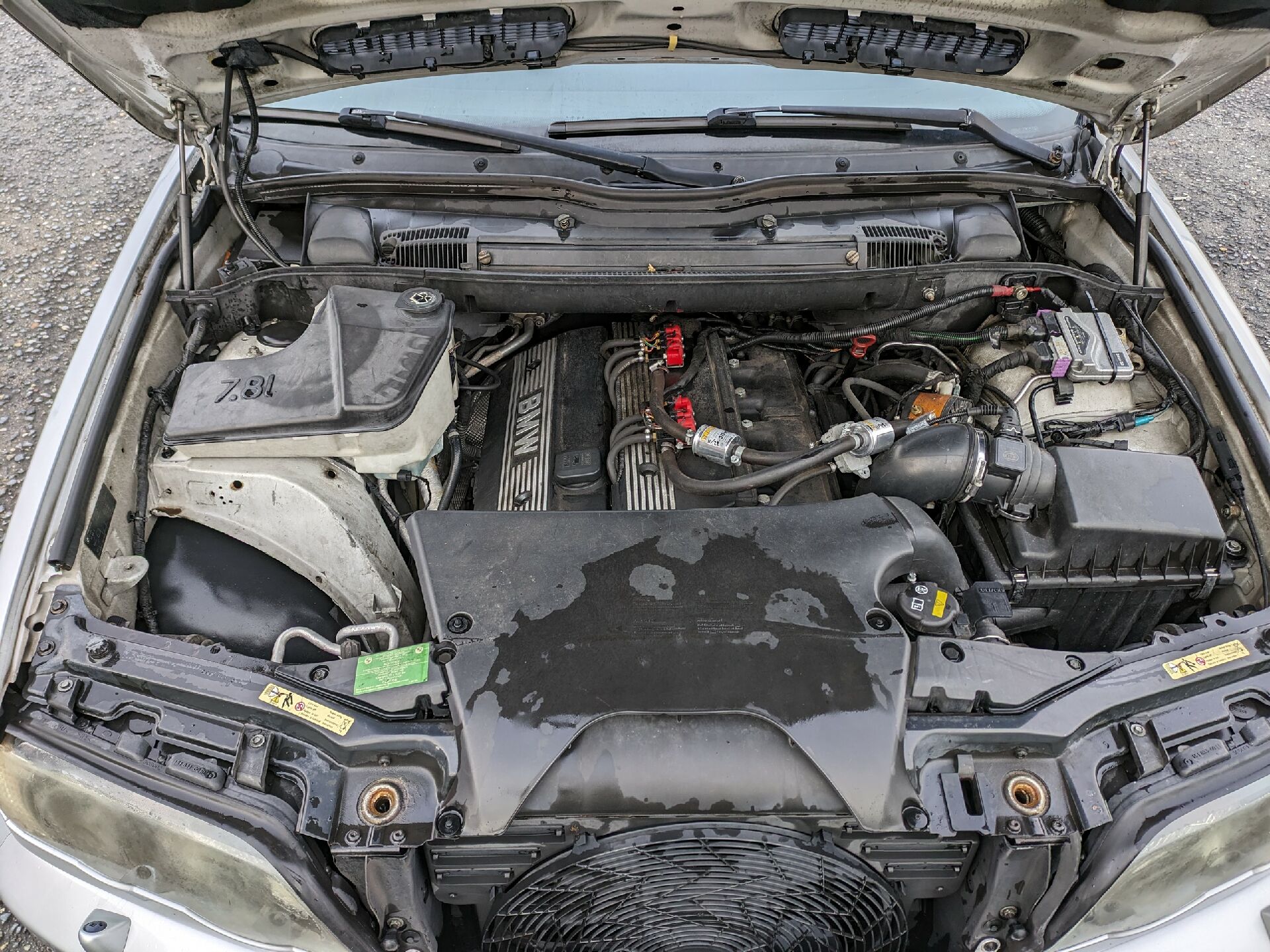 Motor