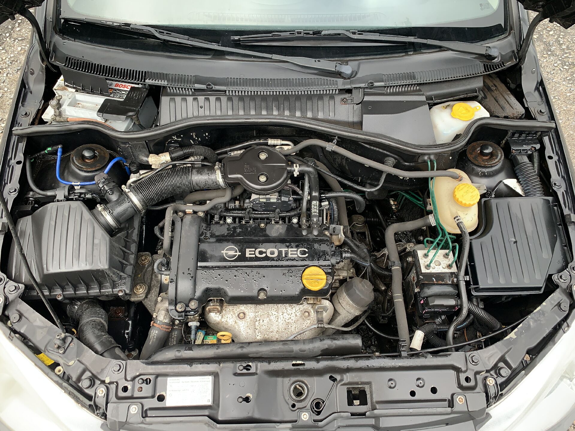 Motor