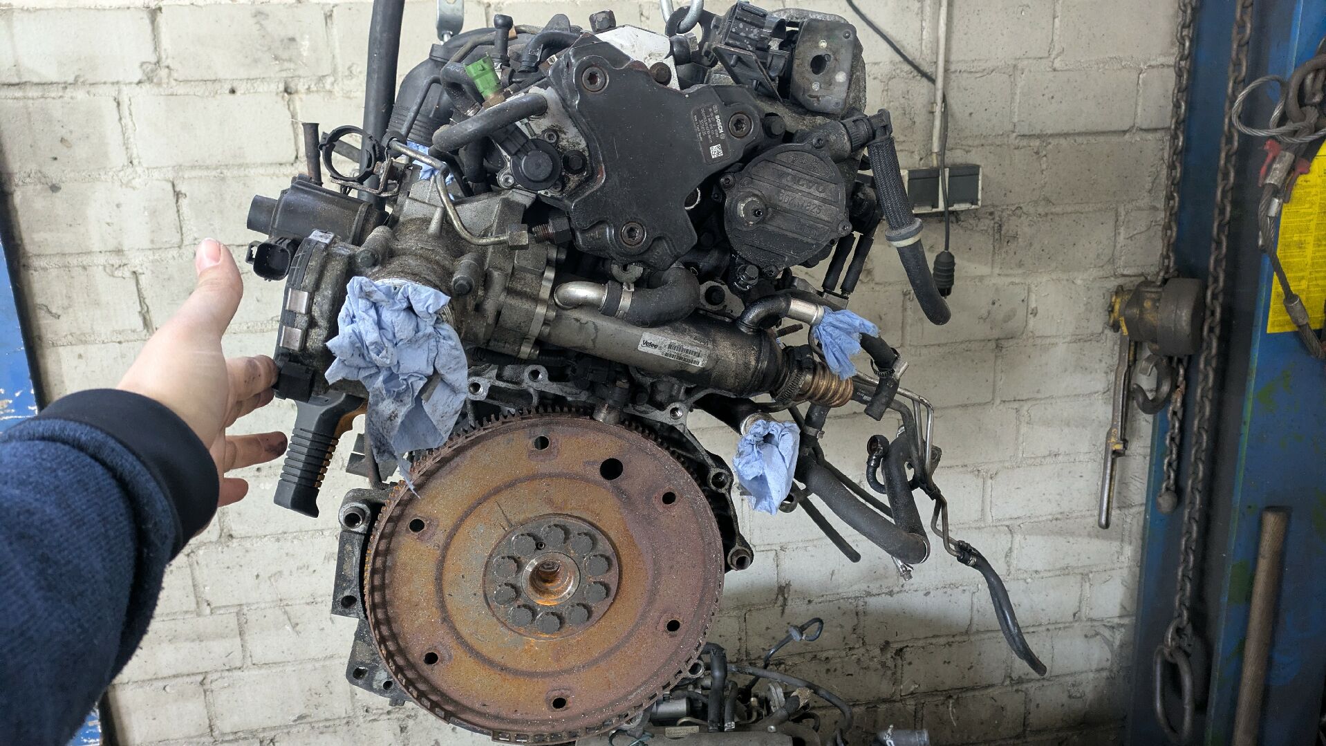 Motor