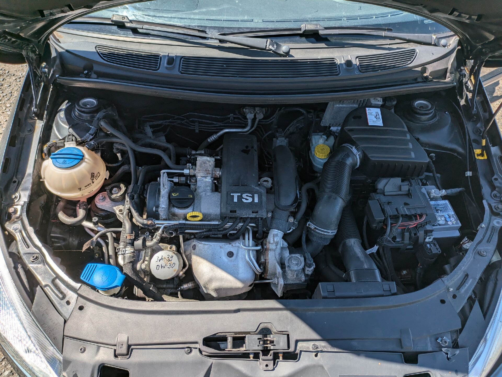 Motor
