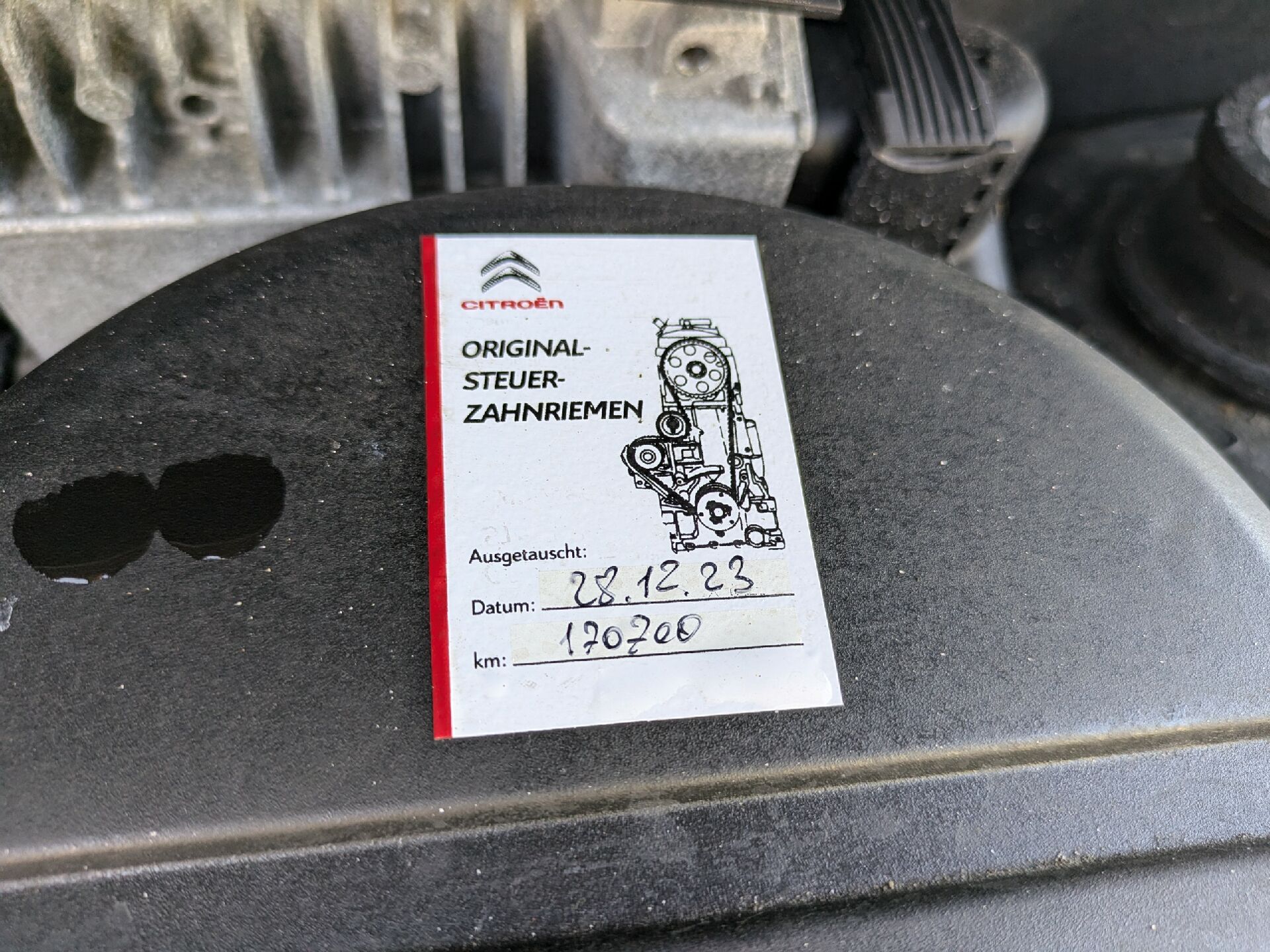 Motor