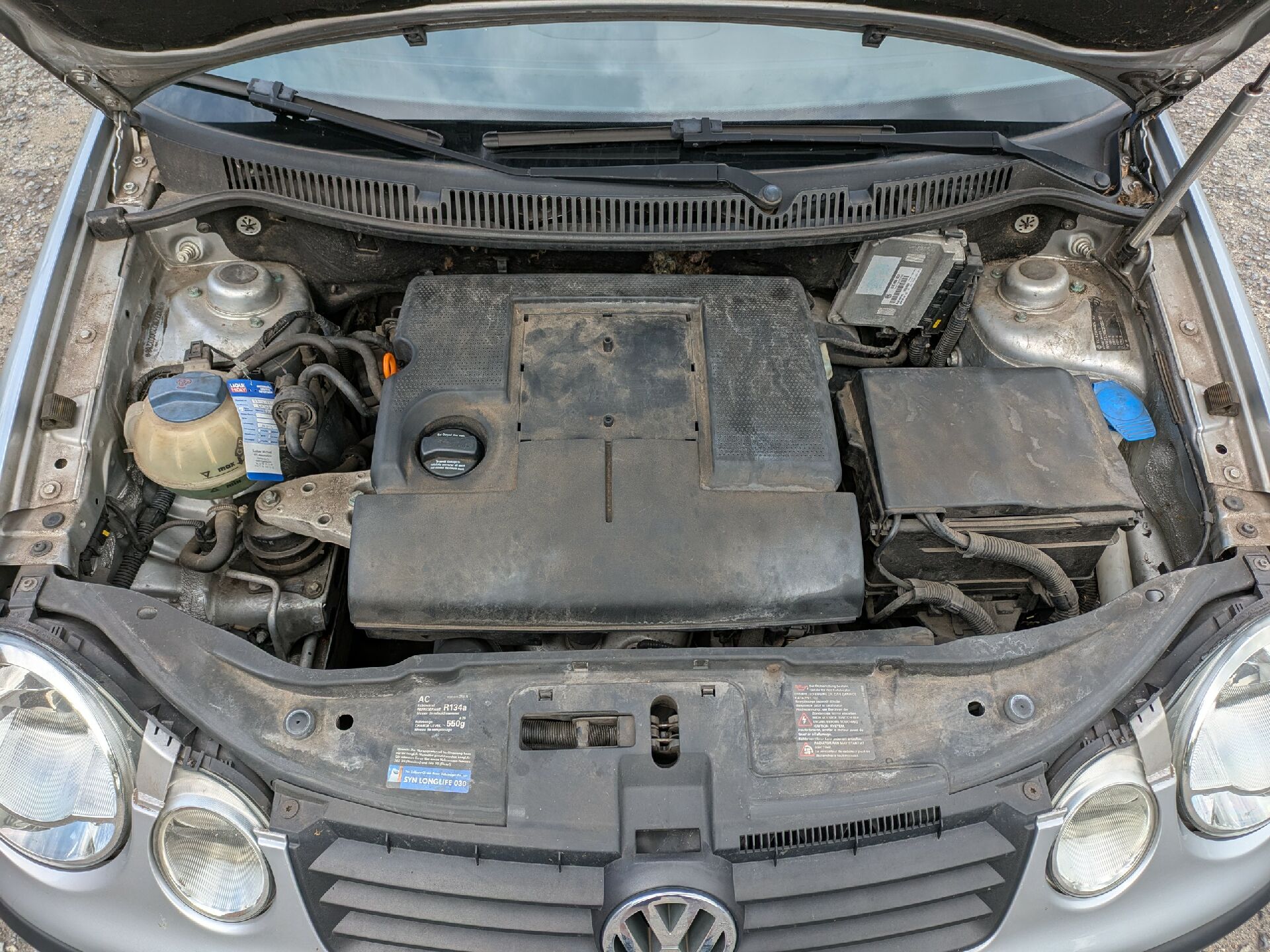 Motor