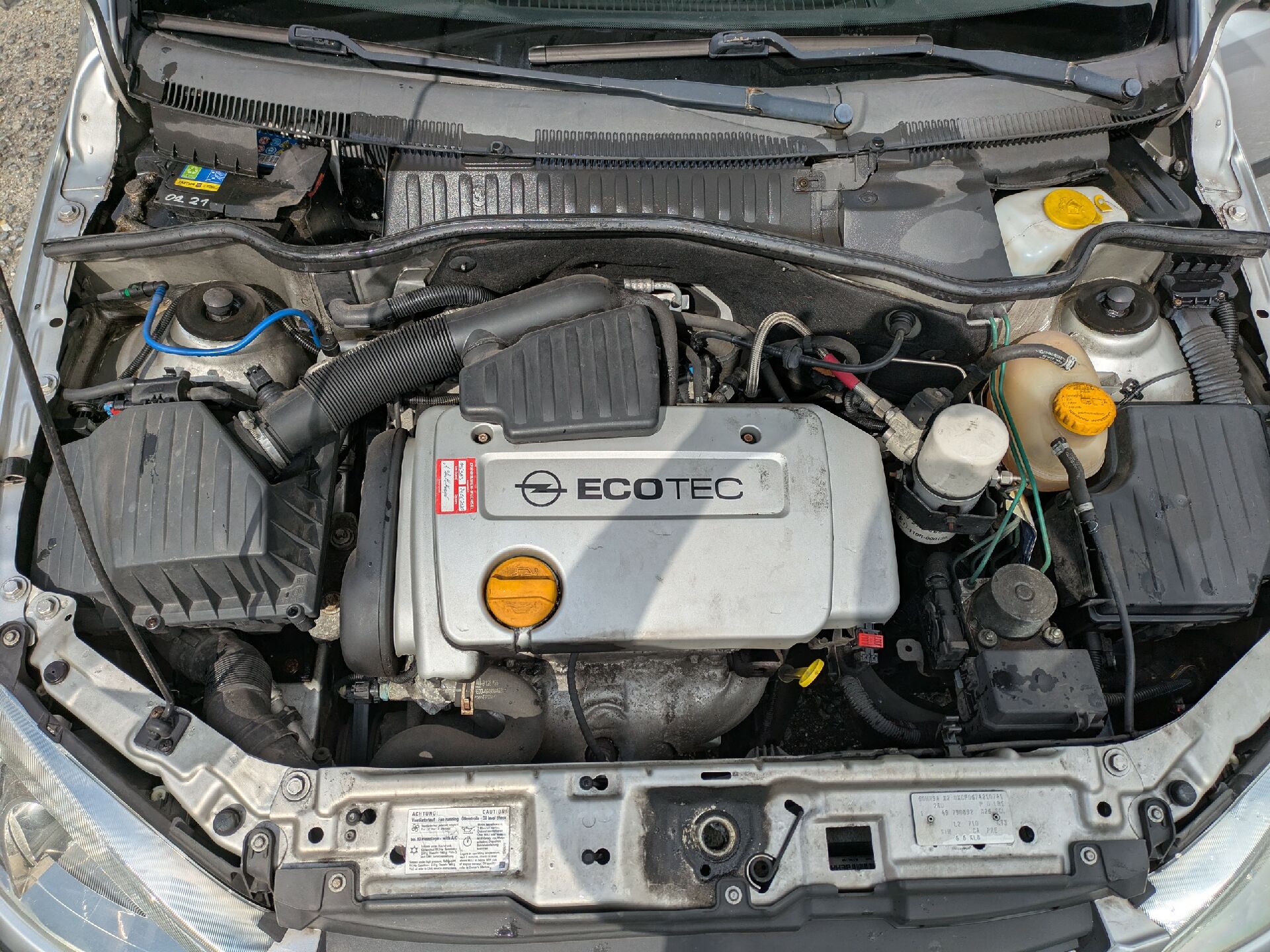 Motor