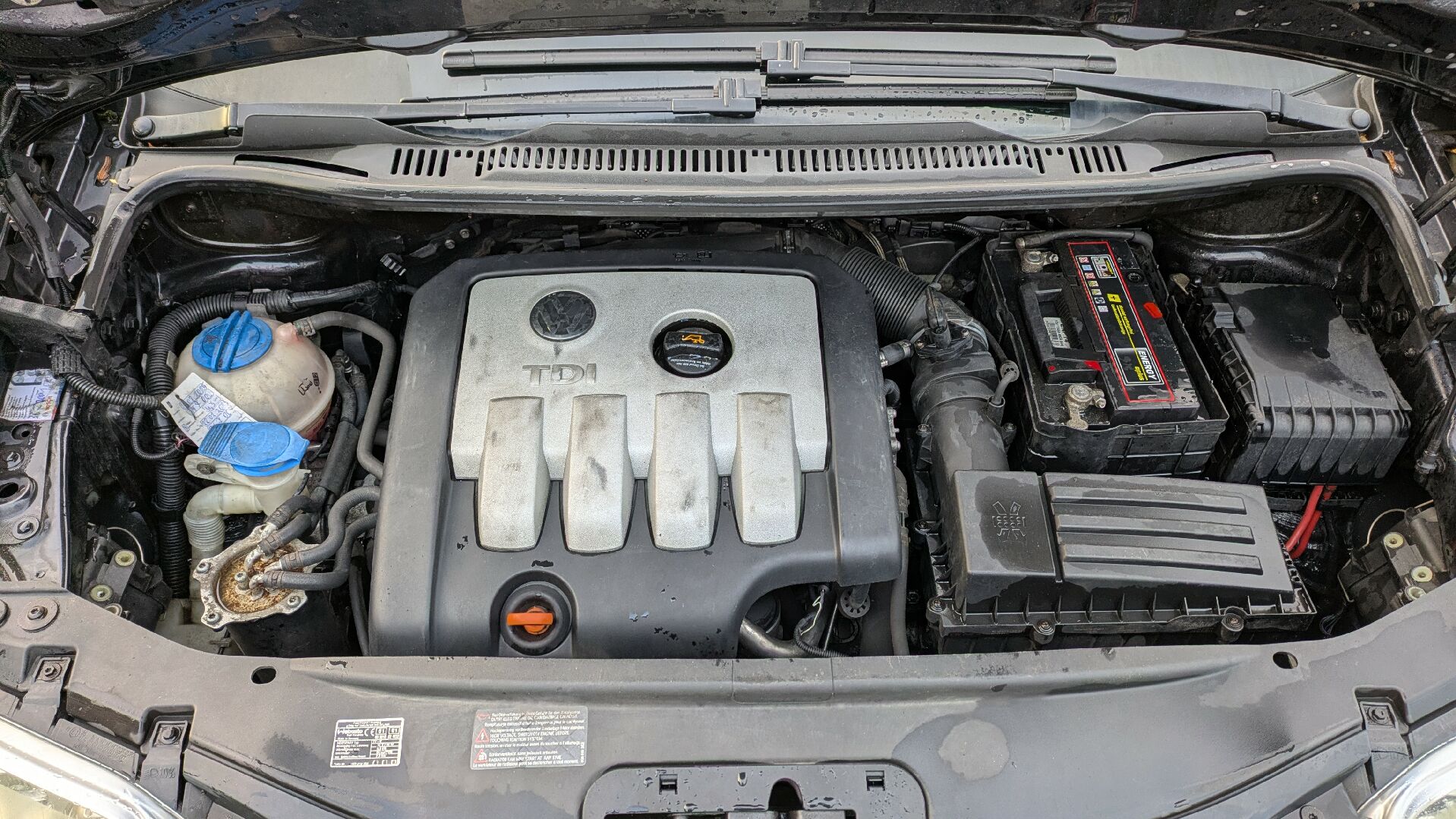 Motor