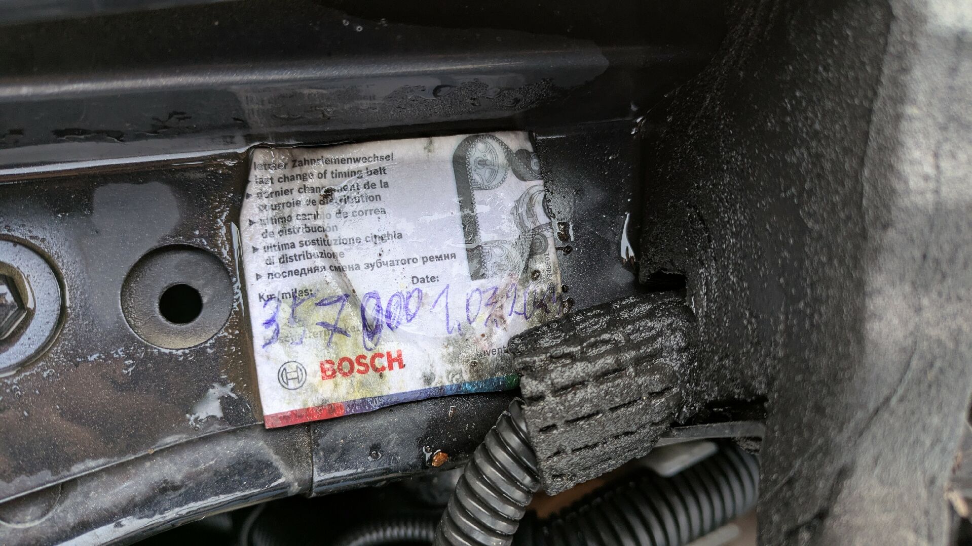 Motor