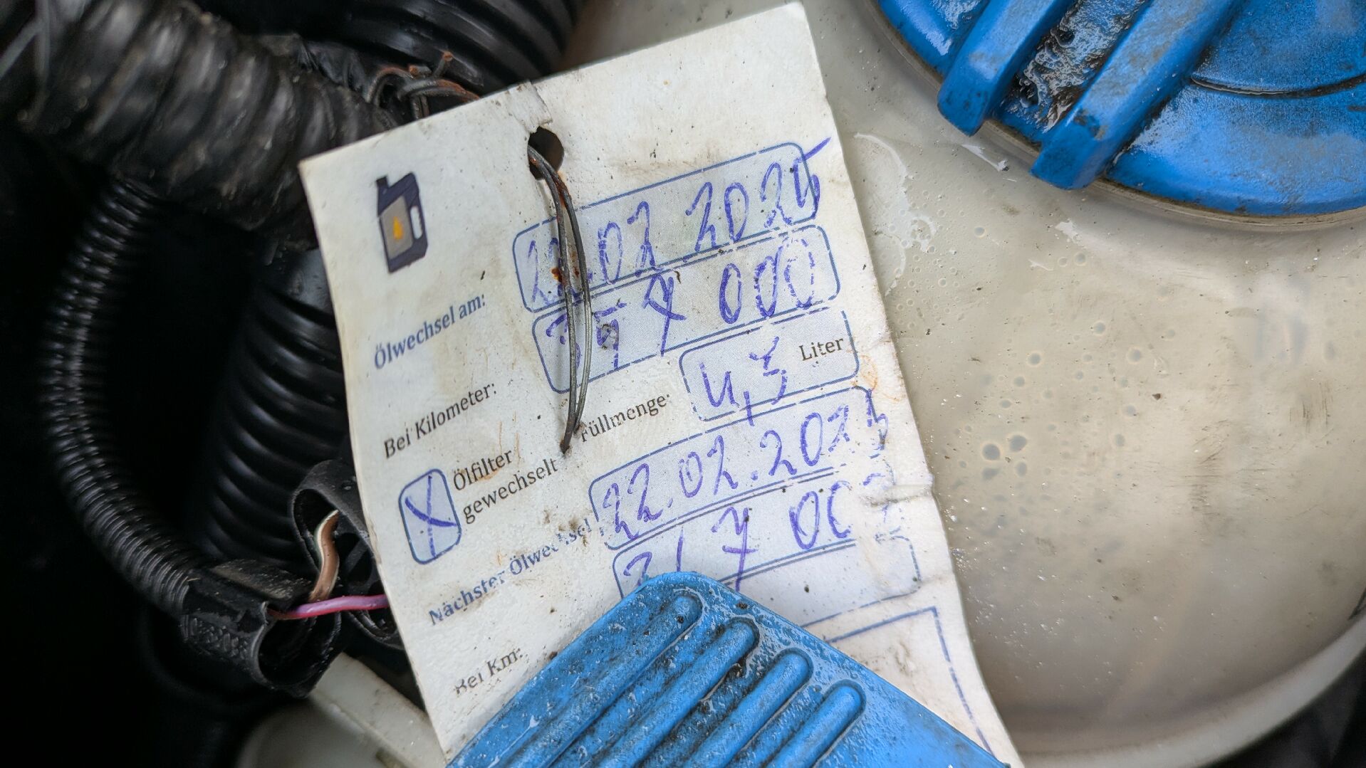 Motor