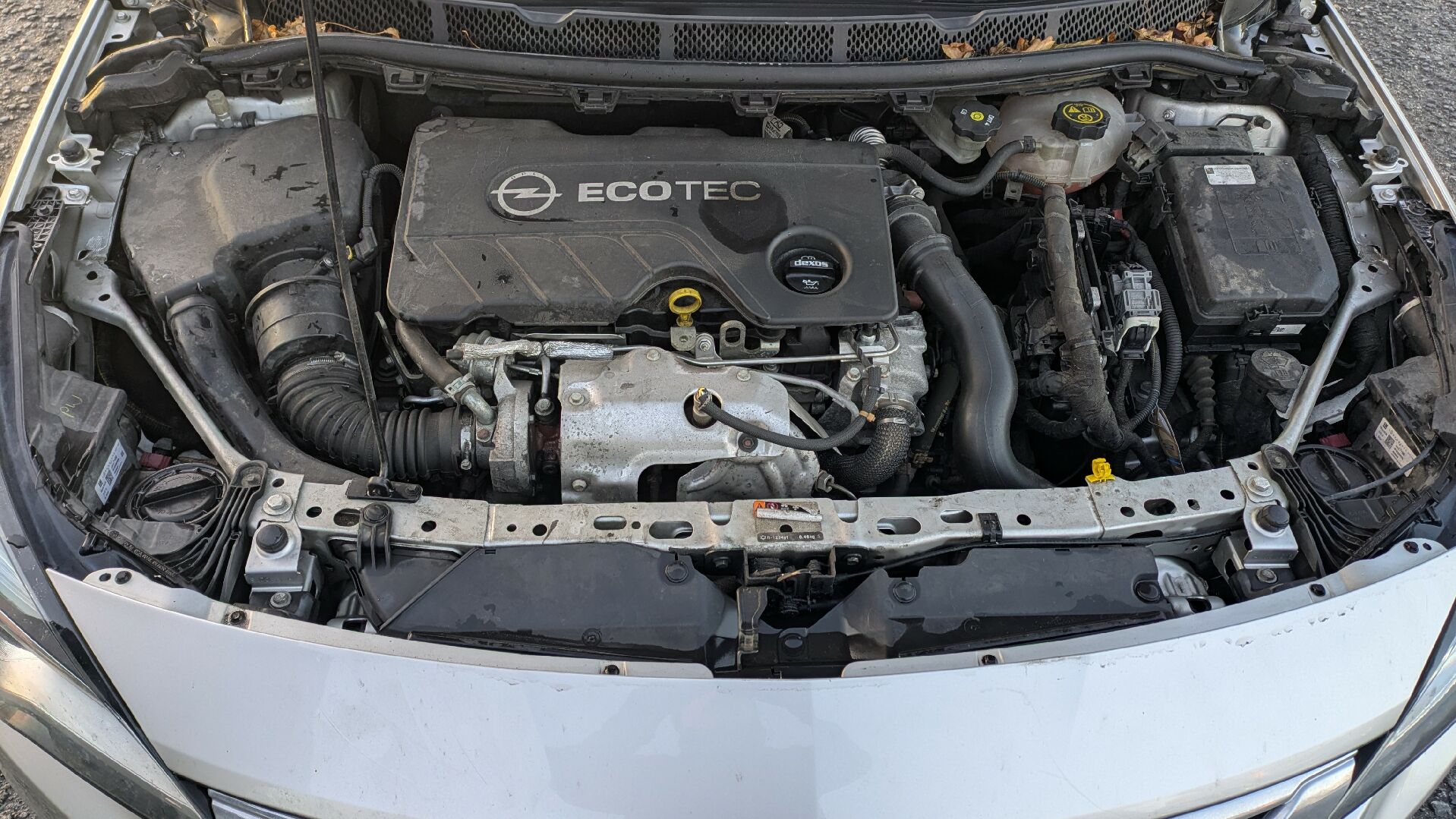 Motor
