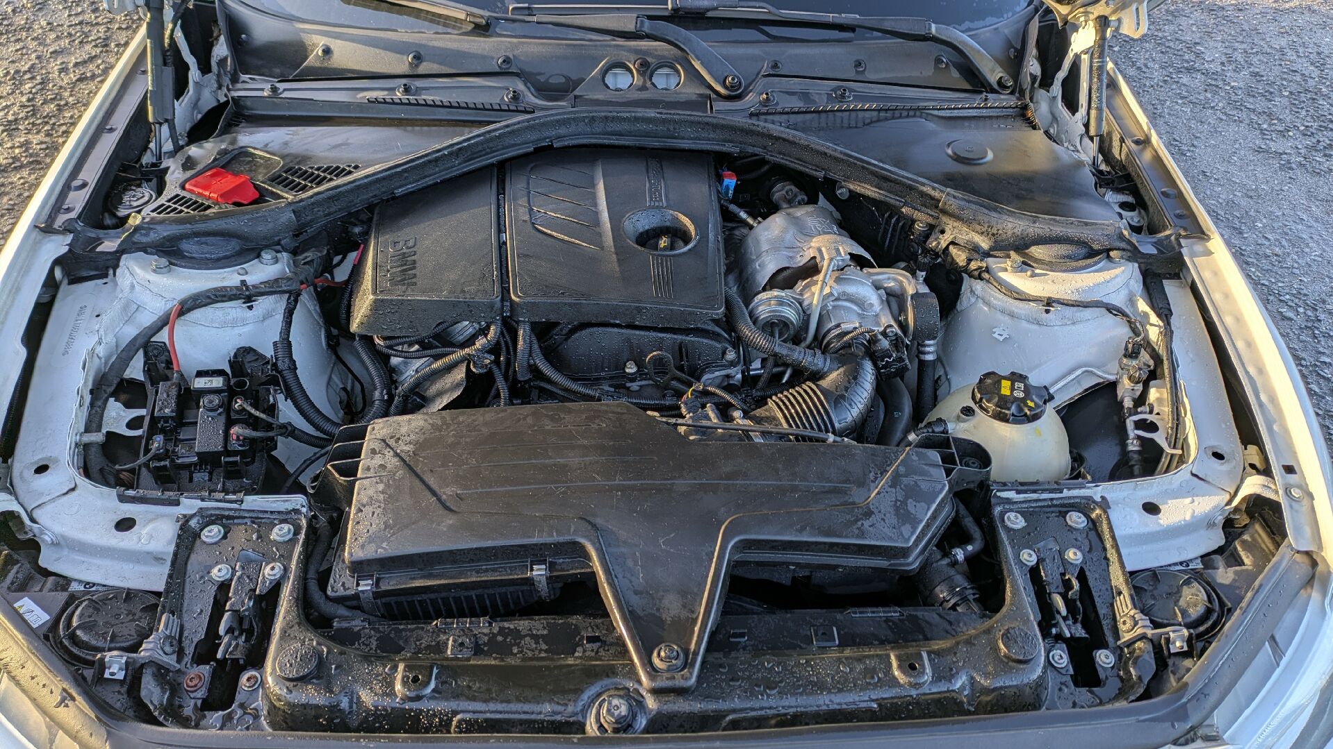 Motor