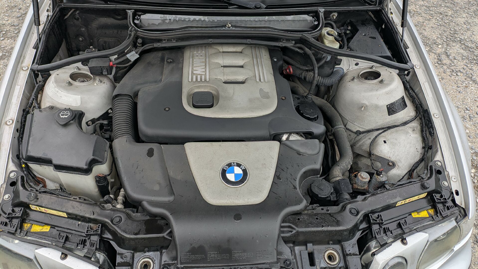 Motor