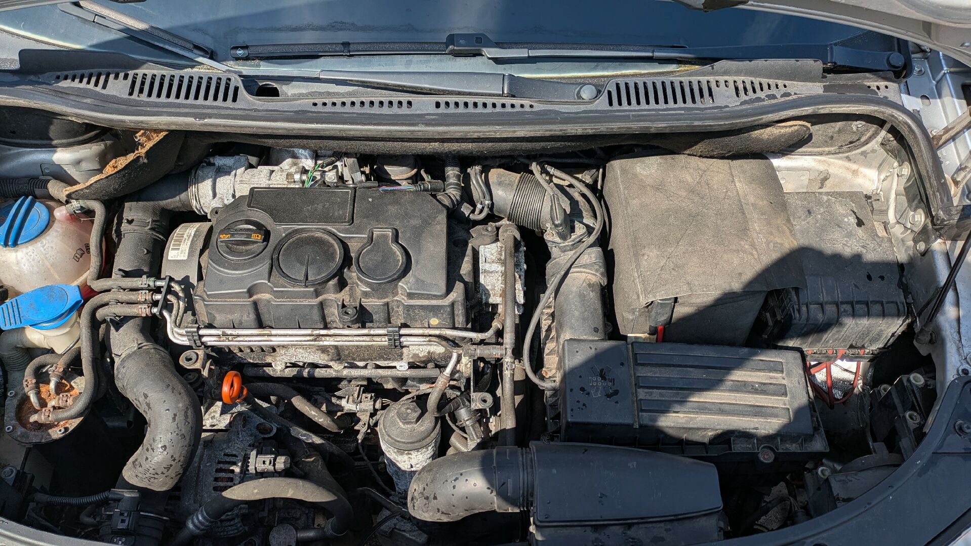 Motor